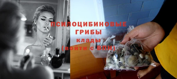 гидра Наволоки